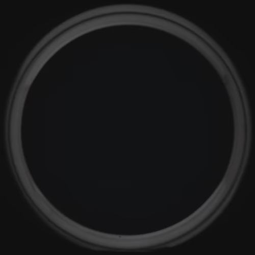 Titanium wedding band with central crushed T-Rex inlay, 5mm width, offering free engraving, simple custom design, unique wedding band for couples.