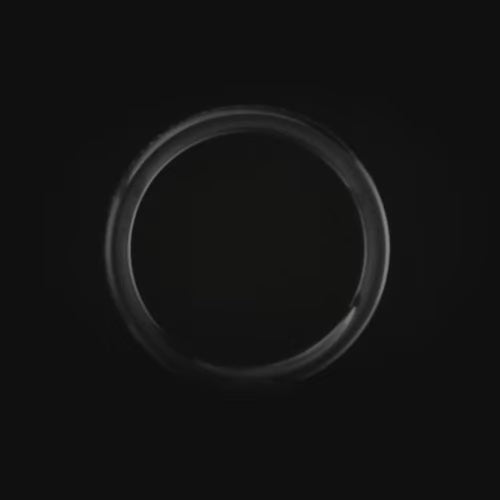 Black titanium wedding ring with crushed T-Rex inlay, featuring free engraving, 4mm width, custom design, unique simple style, brushed domed profile.